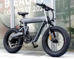 Vélo Électrique