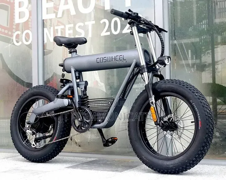 Vélo Électrique