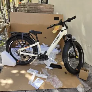 Vélo Électrique