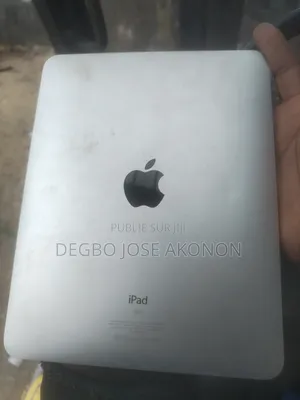 Apple iPad Wi-Fi 32 GB Gris