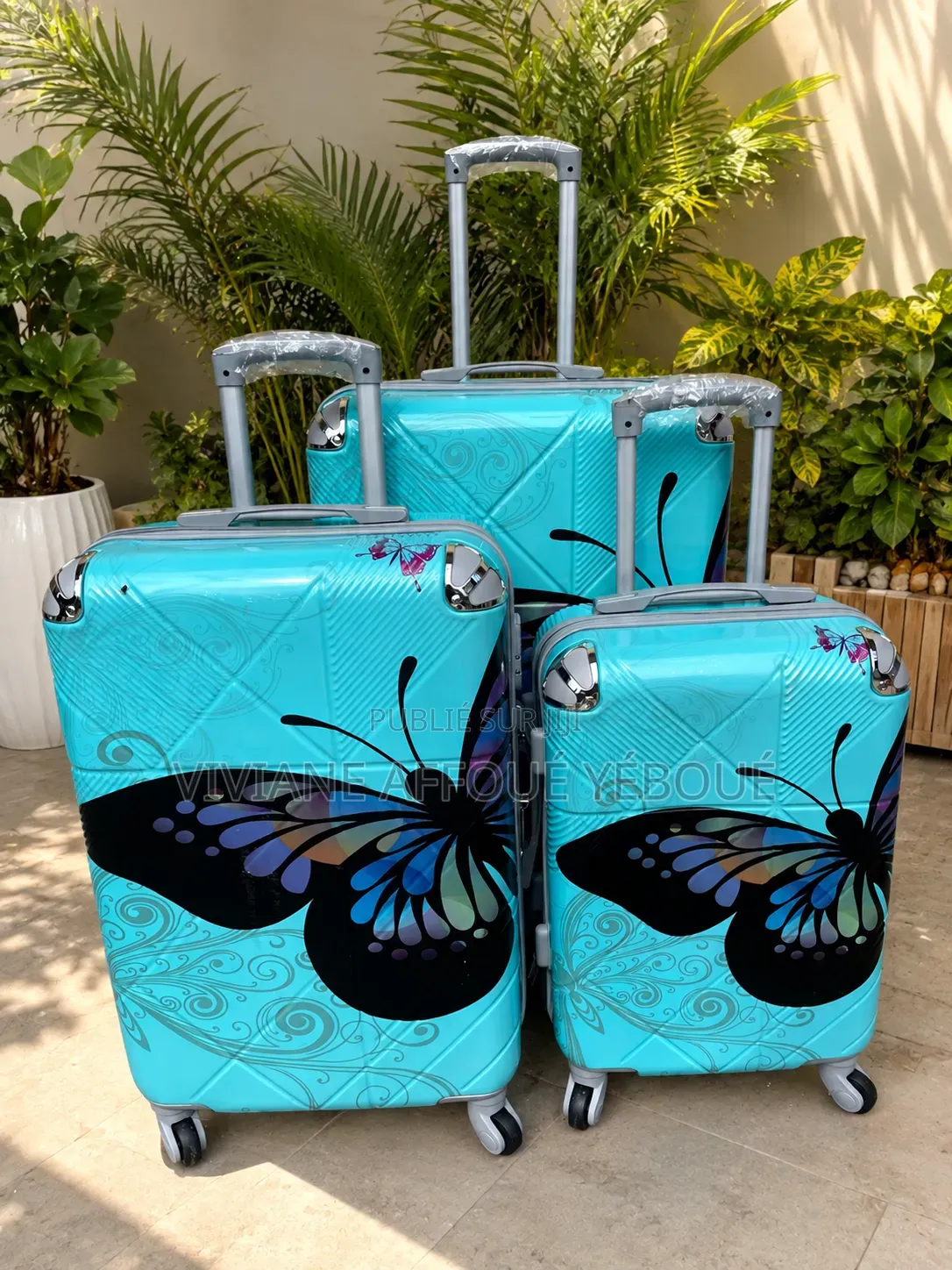 Valise De Voyage