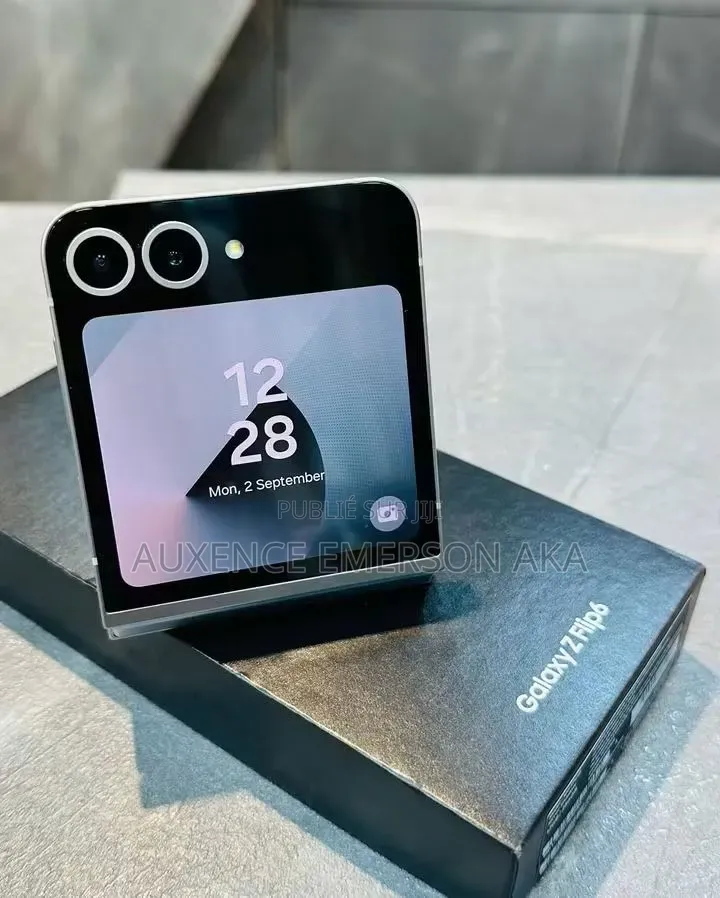 Nouveau Samsung Galaxy Z Flip6 256 GB Autre