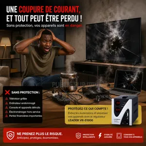 Régulateur Automatique De Tension LEADER VR-S1000