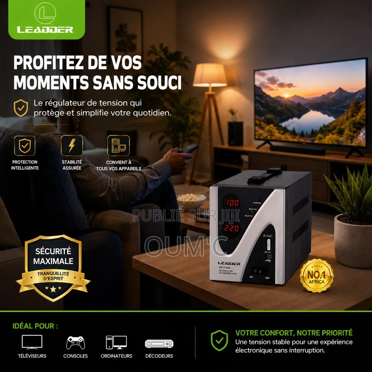 Régulateur Automatique De Tension LEADER VR-S1000
