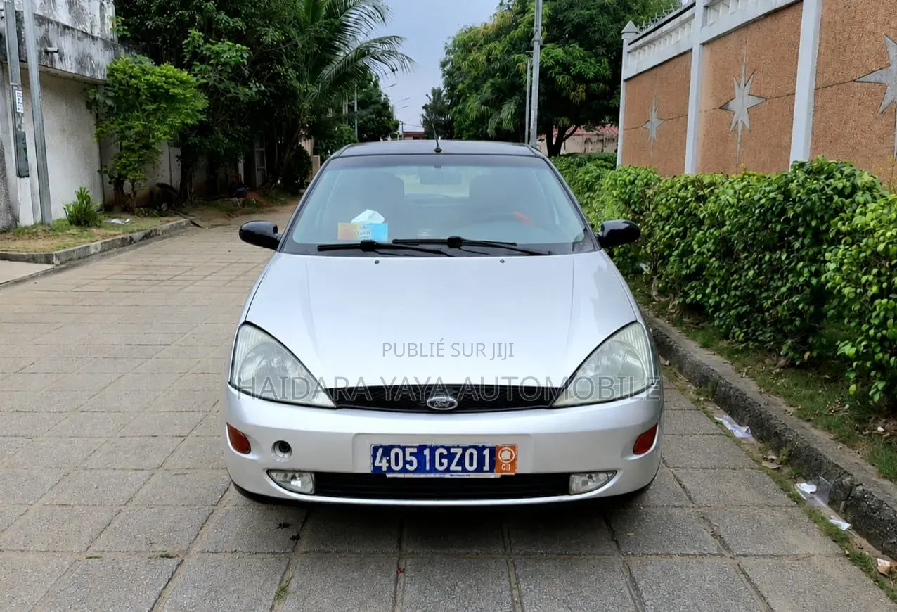 Ford Focus 2000 Gris
