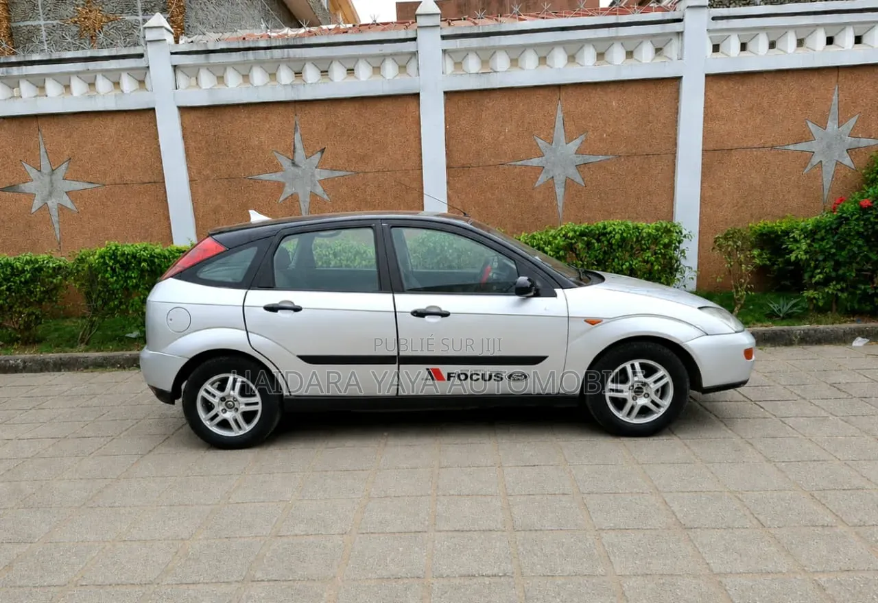 Ford Focus 2000 Gris