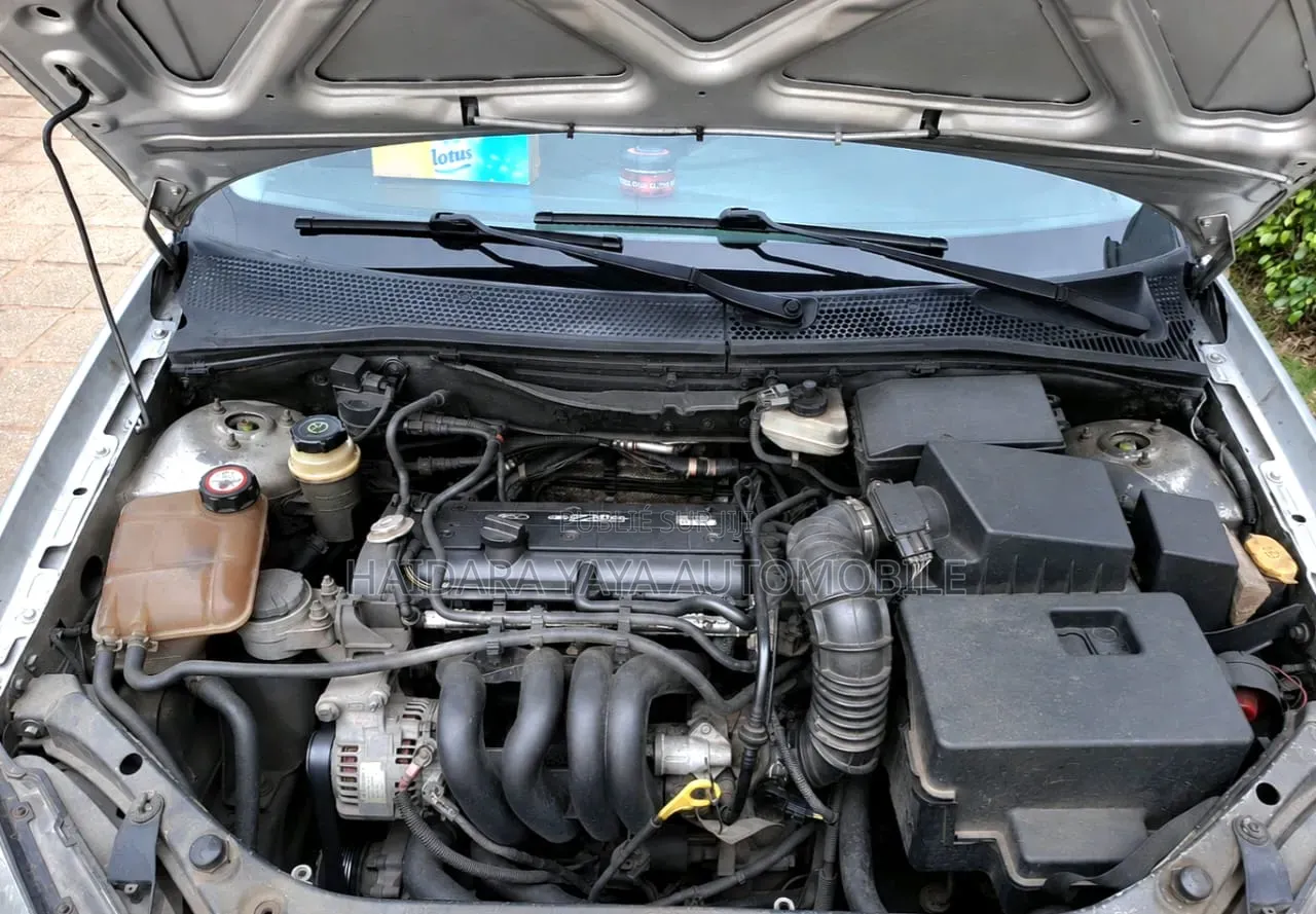 Ford Focus 2000 Gris