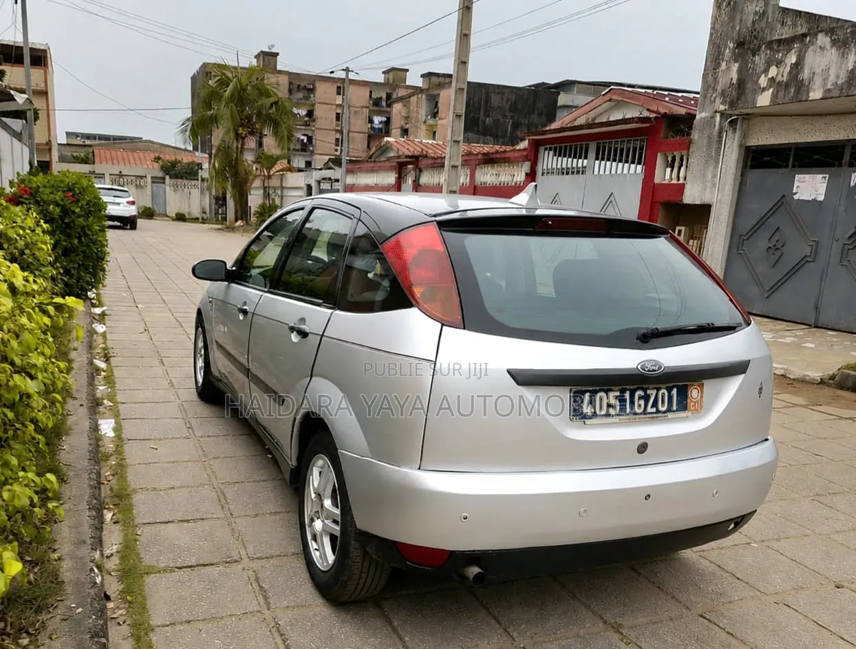 Ford Focus 2000 Gris