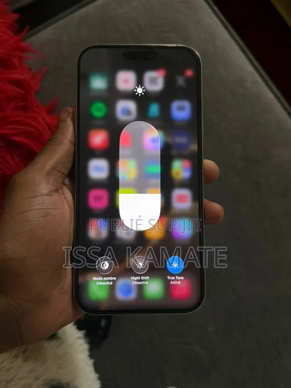 Apple iPhone 16 Pro Max 256 GB Gris