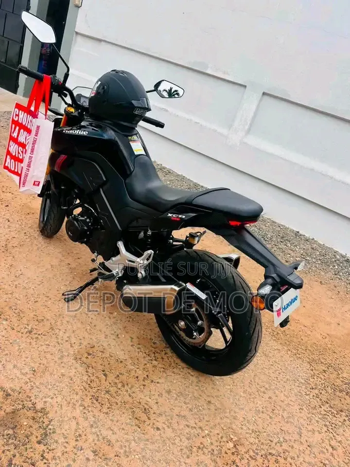 Nouveau Haojue DR300 2026 Noir