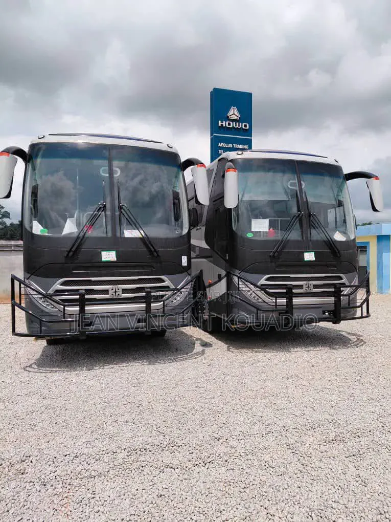 Dongfeng Captain 2025 Noir