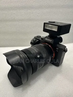 Sony Alpha A7 II + Sigma 28-70mm DG DN F2.8