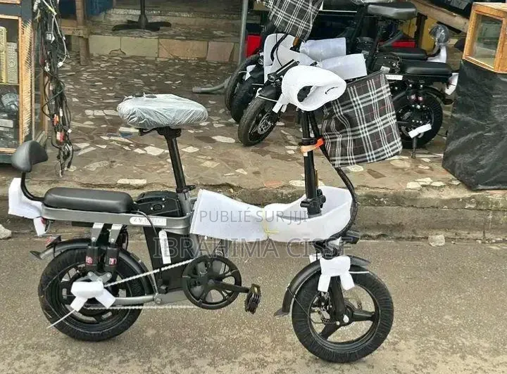 Vélo Électrique