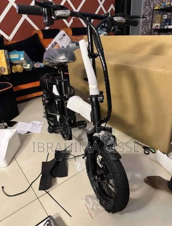 Vélo Électrique