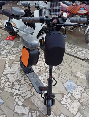 Trottinette Électrique