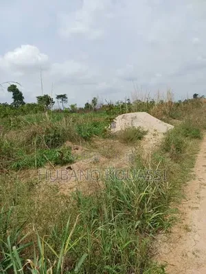 Terrain Yamoussoukro - ZATTA