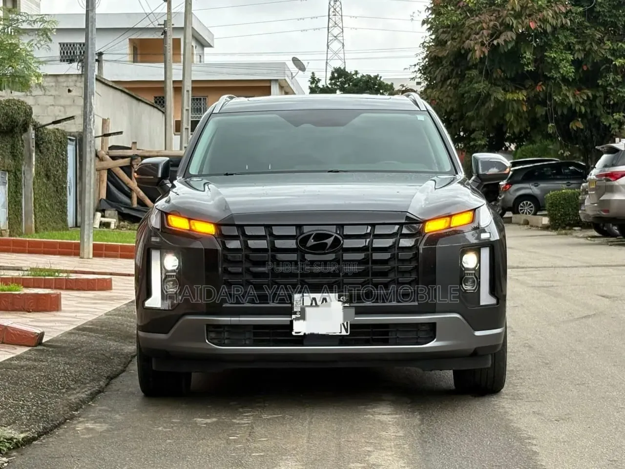 Hyundai Palissade 2023 Autre