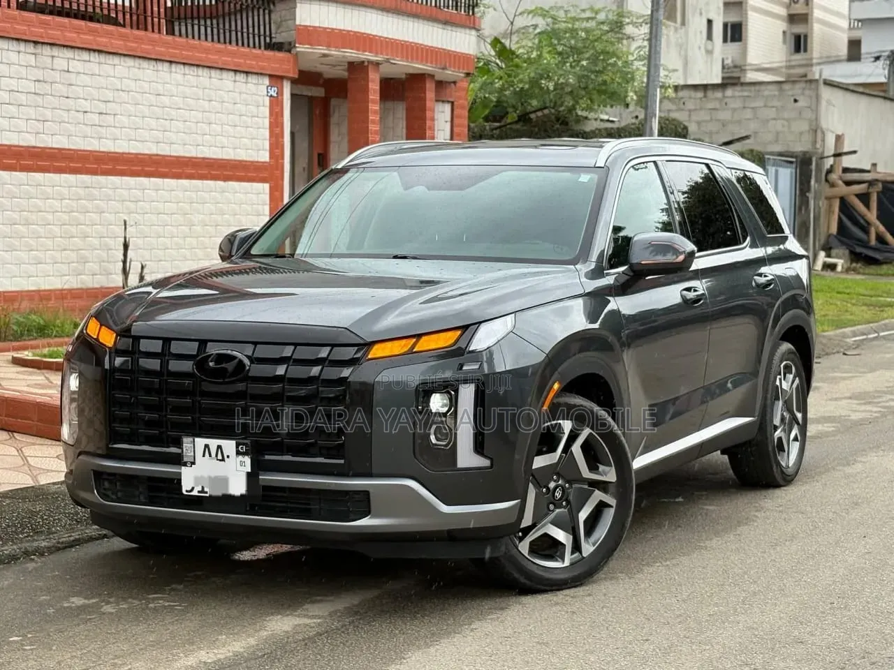 Hyundai Palissade 2023 Autre