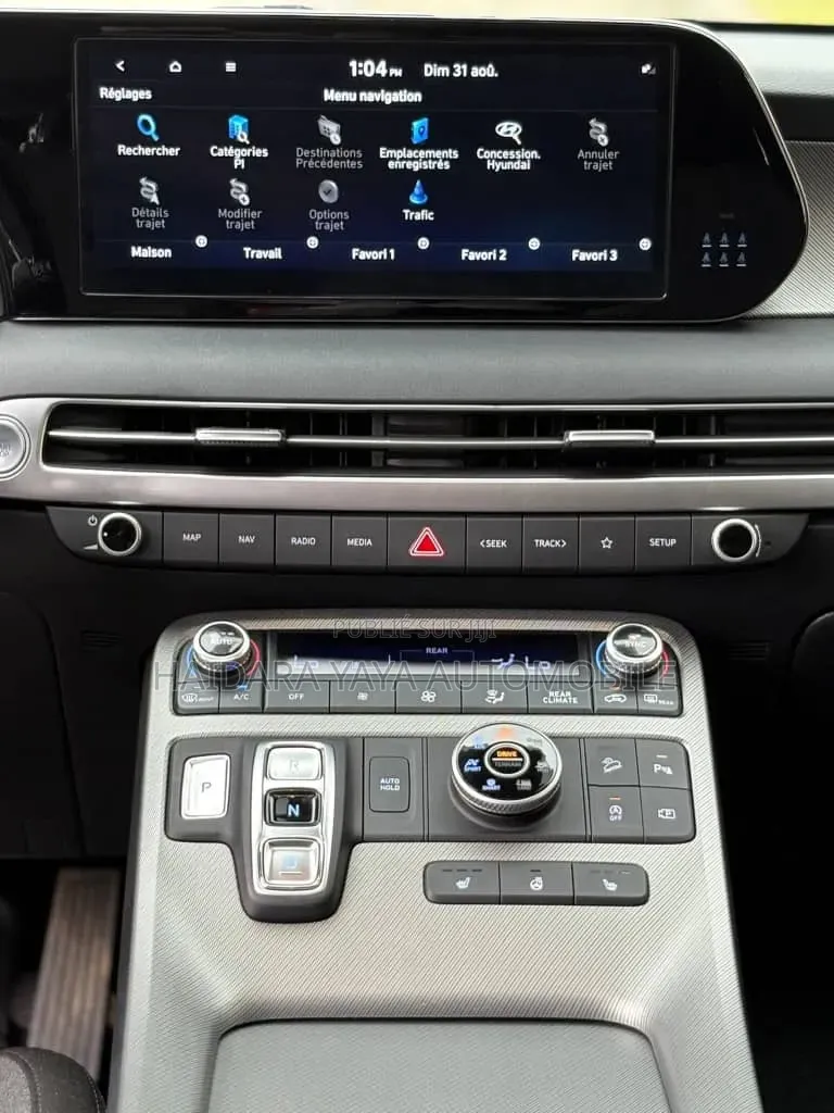 Hyundai Palissade 2023 Autre