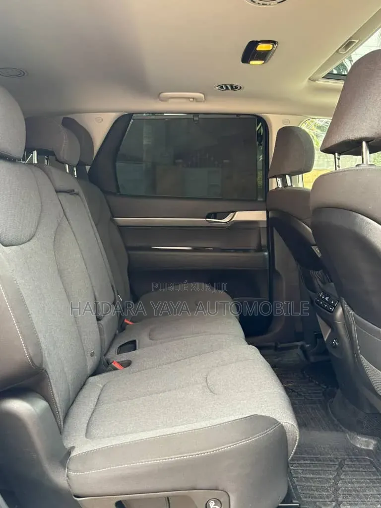 Hyundai Palissade 2023 Autre