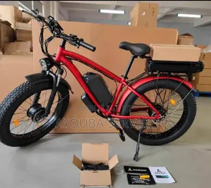 Vélo Électrique