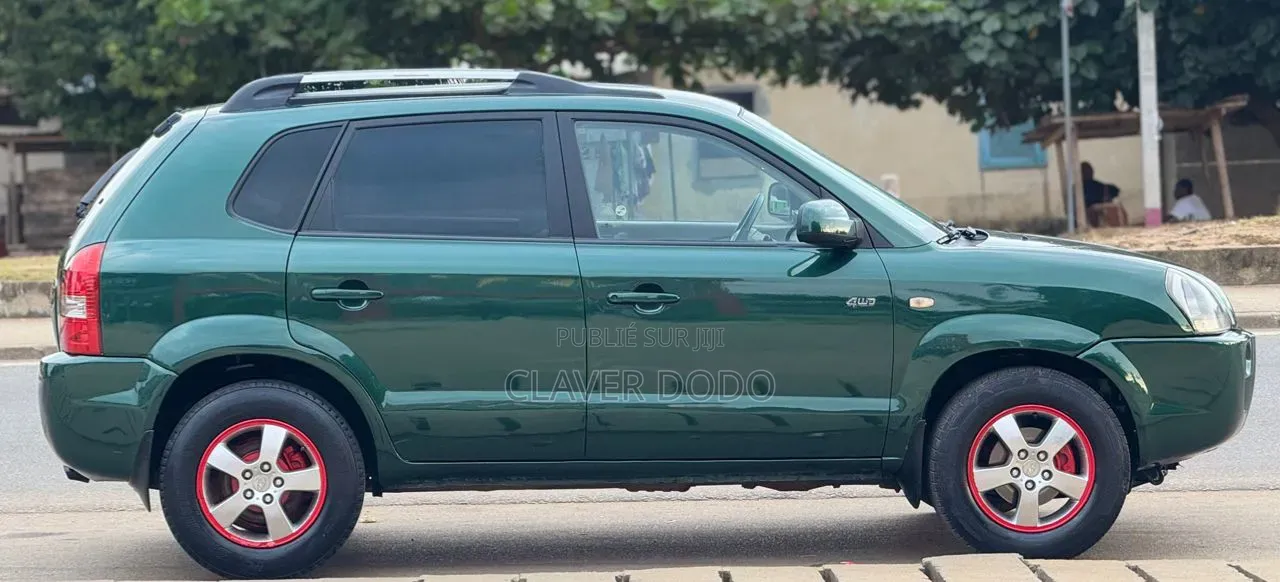 Hyundai Tucson 2007 Vert