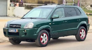 Hyundai Tucson 2007 Vert