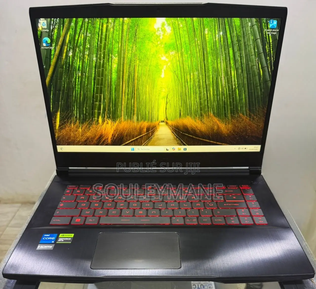Ordinateur portable MSI GF65 Thin 10UE 16GB Intel Core i5 SSD 512GB