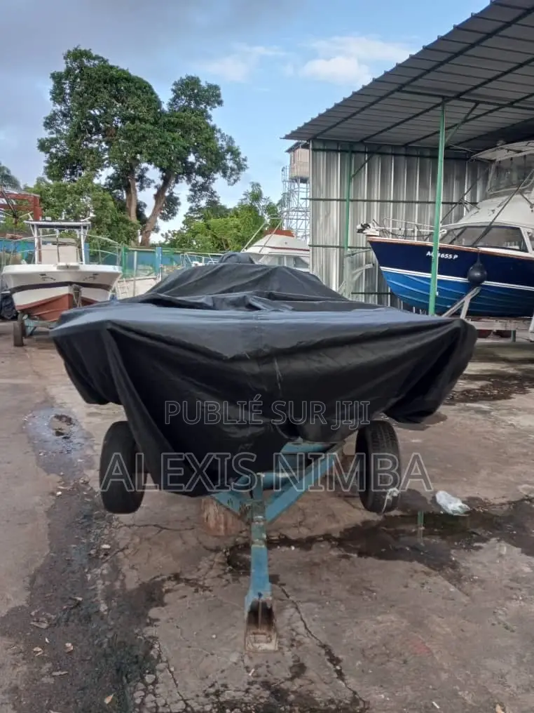 Bateau Batman Debo 300cv a Besoin De Réparation Sans Chariot 9million