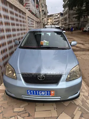 Toyota Corolla 2004 Gris