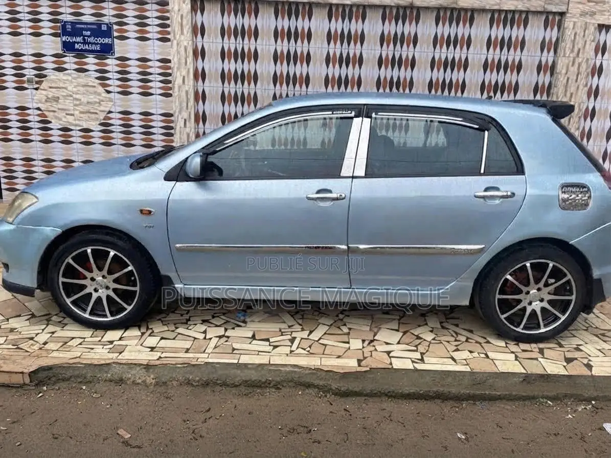 Toyota Corolla 2004 Gris