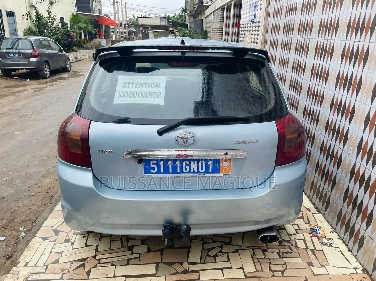 Toyota Corolla 2004 Gris