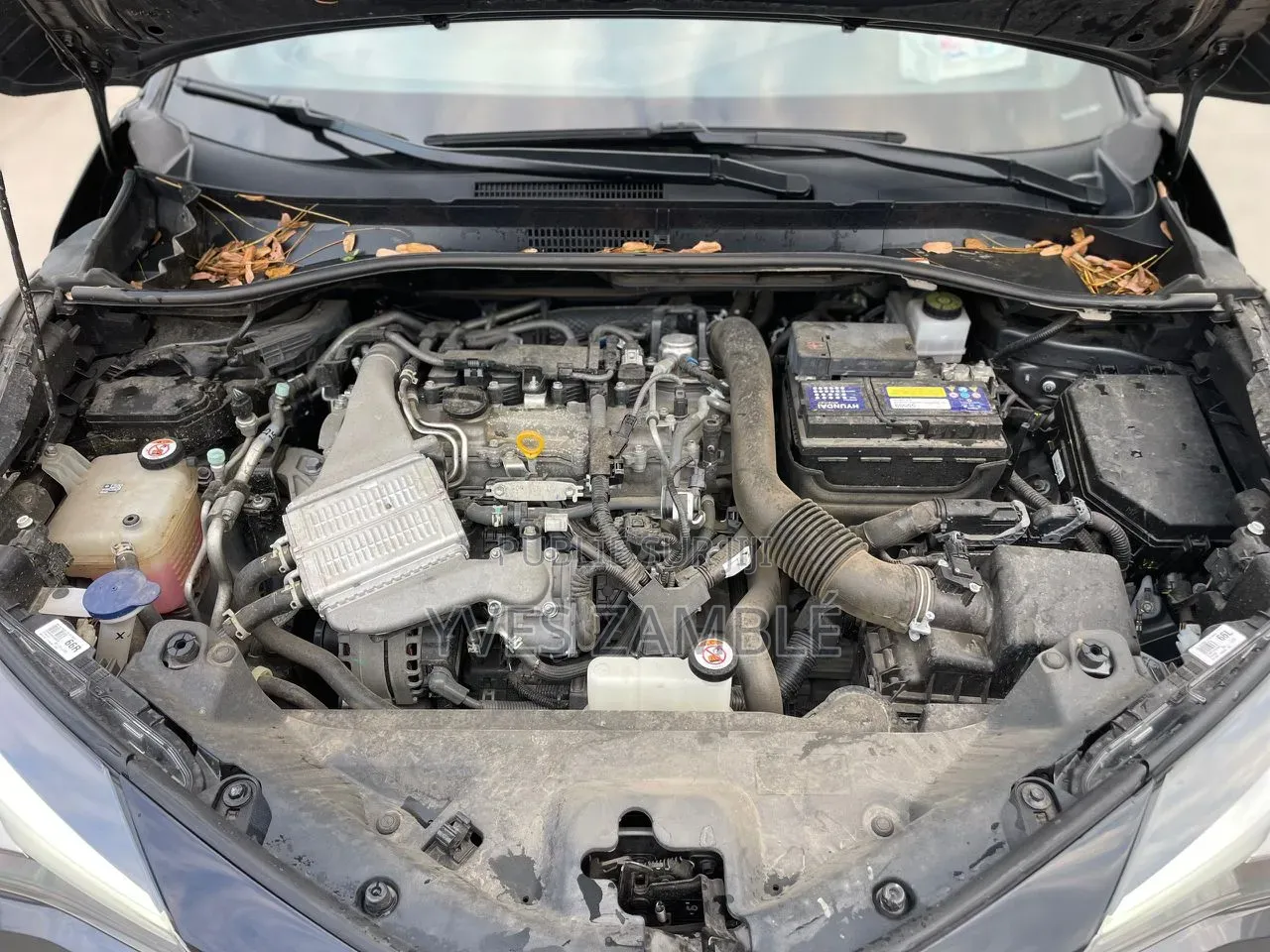 Toyota C-HR 2025 Gris