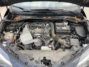 Toyota C-HR 2025 Gris
