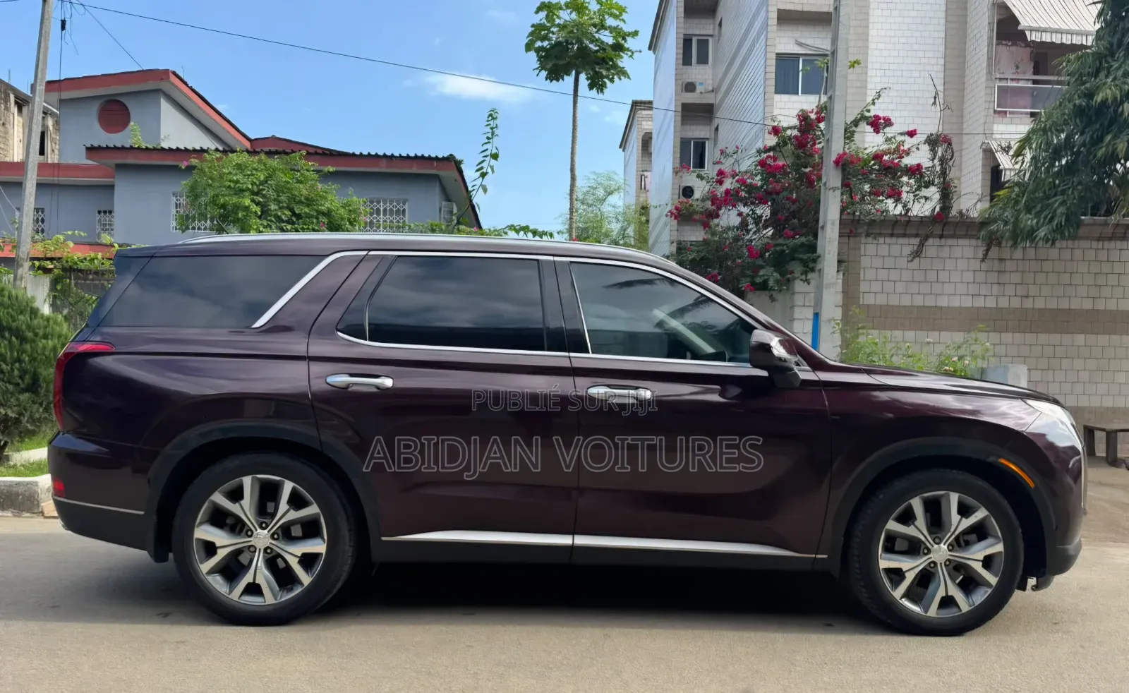 Hyundai Palissade Calligraphy 2021 Bordeaux