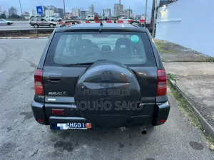 Toyota RAV4 2005 Gris