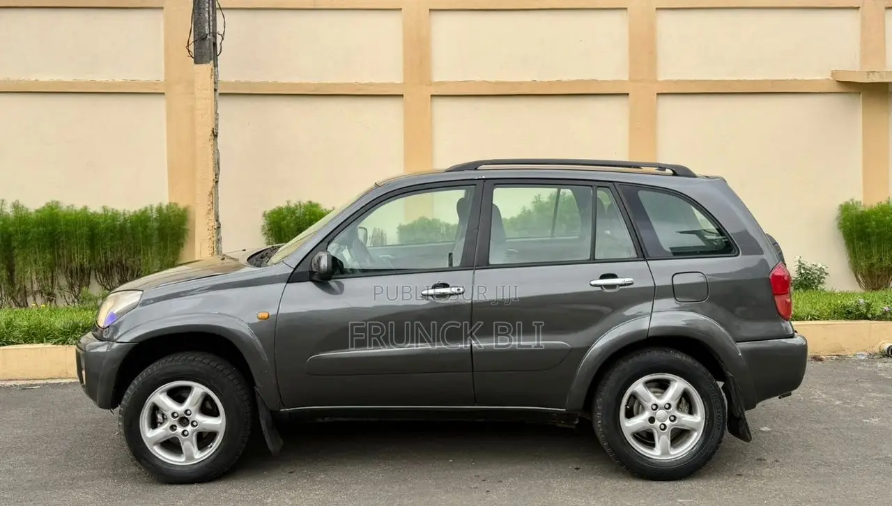 Toyota RAV4 2008 Gris