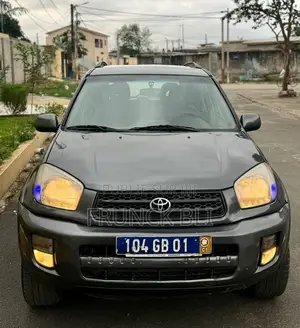 Toyota RAV4 2008 Gris