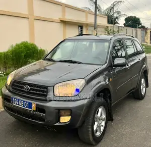 Toyota RAV4 2008 Gris