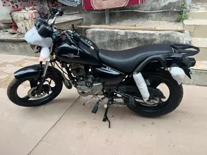 Apsonic AP150ZH-200 2025 Gris