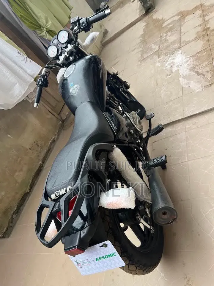 Apsonic AP150ZH-200 2025 Gris