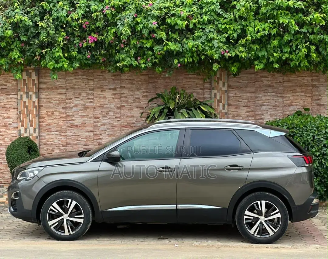 Peugeot 3008 2018 Gris