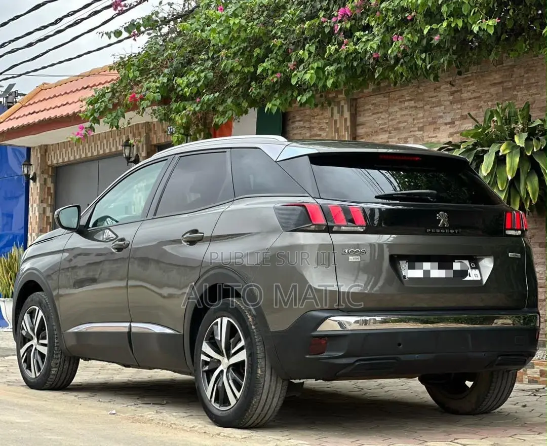 Peugeot 3008 2018 Gris