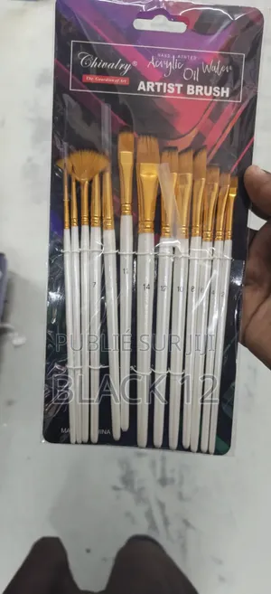Pinceaux d'Artiste Lot De 12