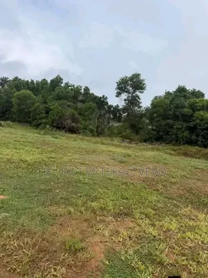 Un Terrain De 900M2 en Vente À Assouinde