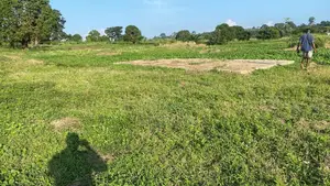 Terrain À Céder
