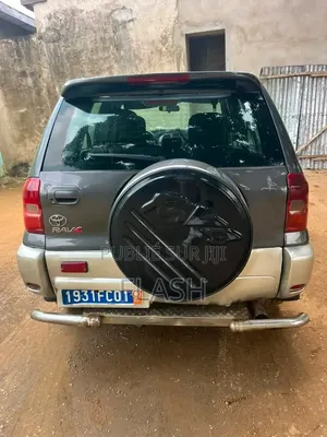 Toyota RAV4 2021 Gris
