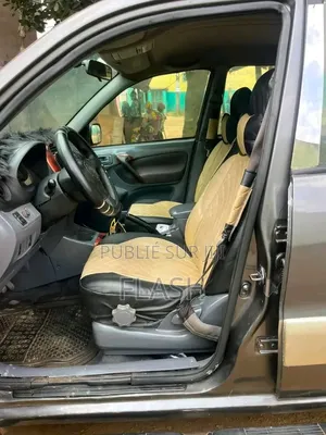 Toyota RAV4 2021 Gris