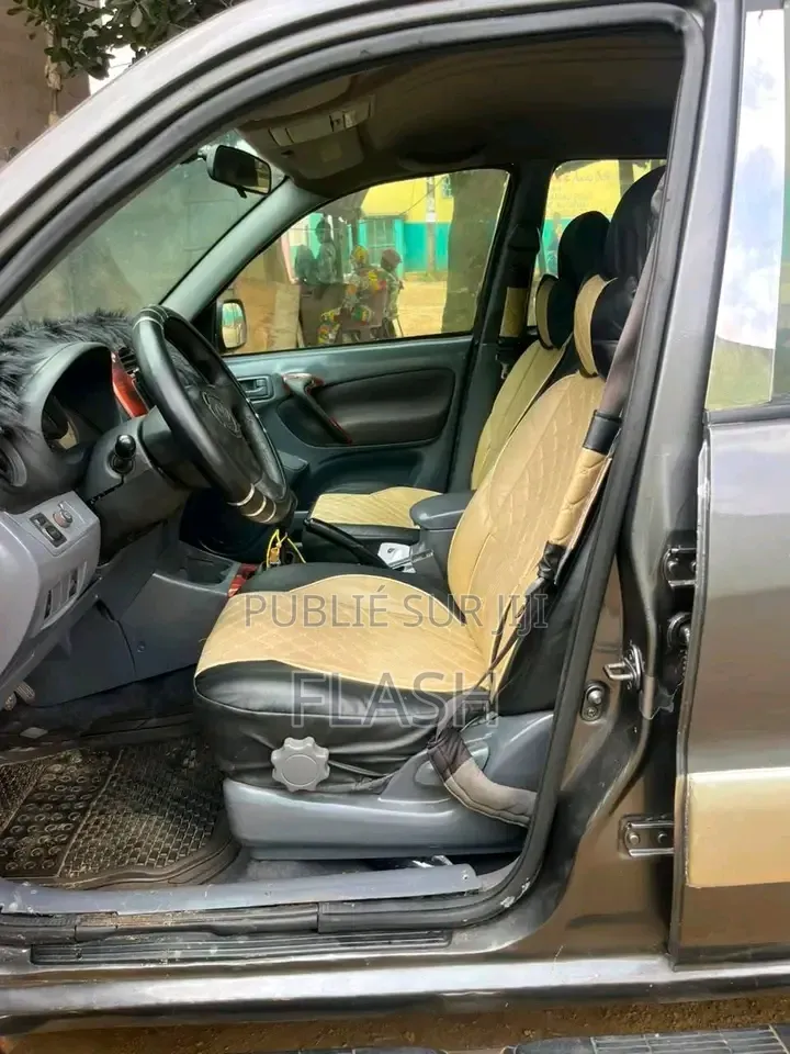 Toyota RAV4 2021 Gris