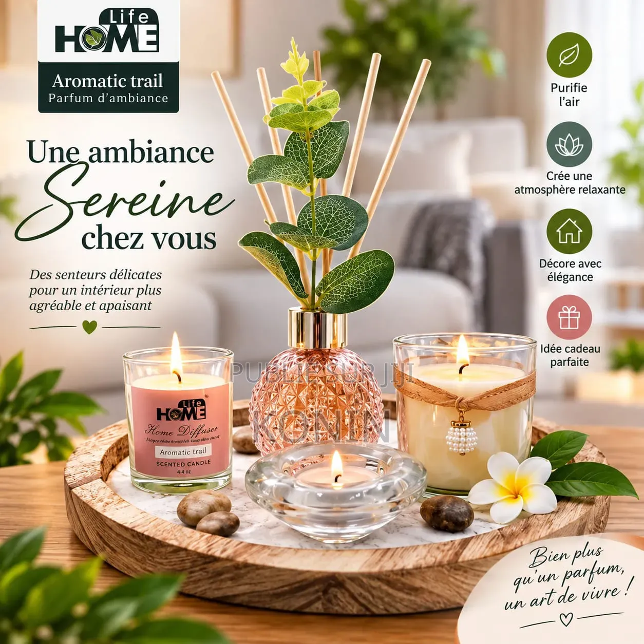 Diffuseur d'Ambiance – Set Parfumé Décoratif